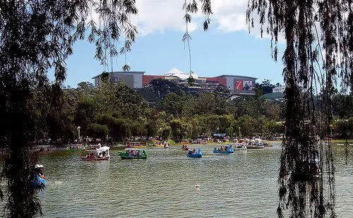 Rehabilitation of Burnham Lake